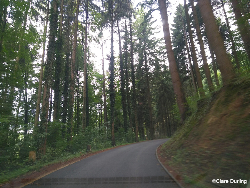 Black-Forest Driving Road