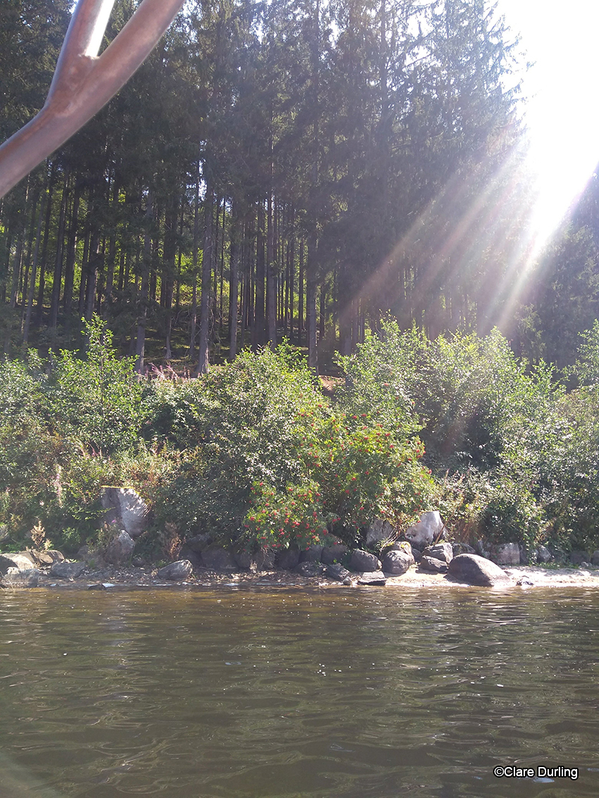 Lake Titisee