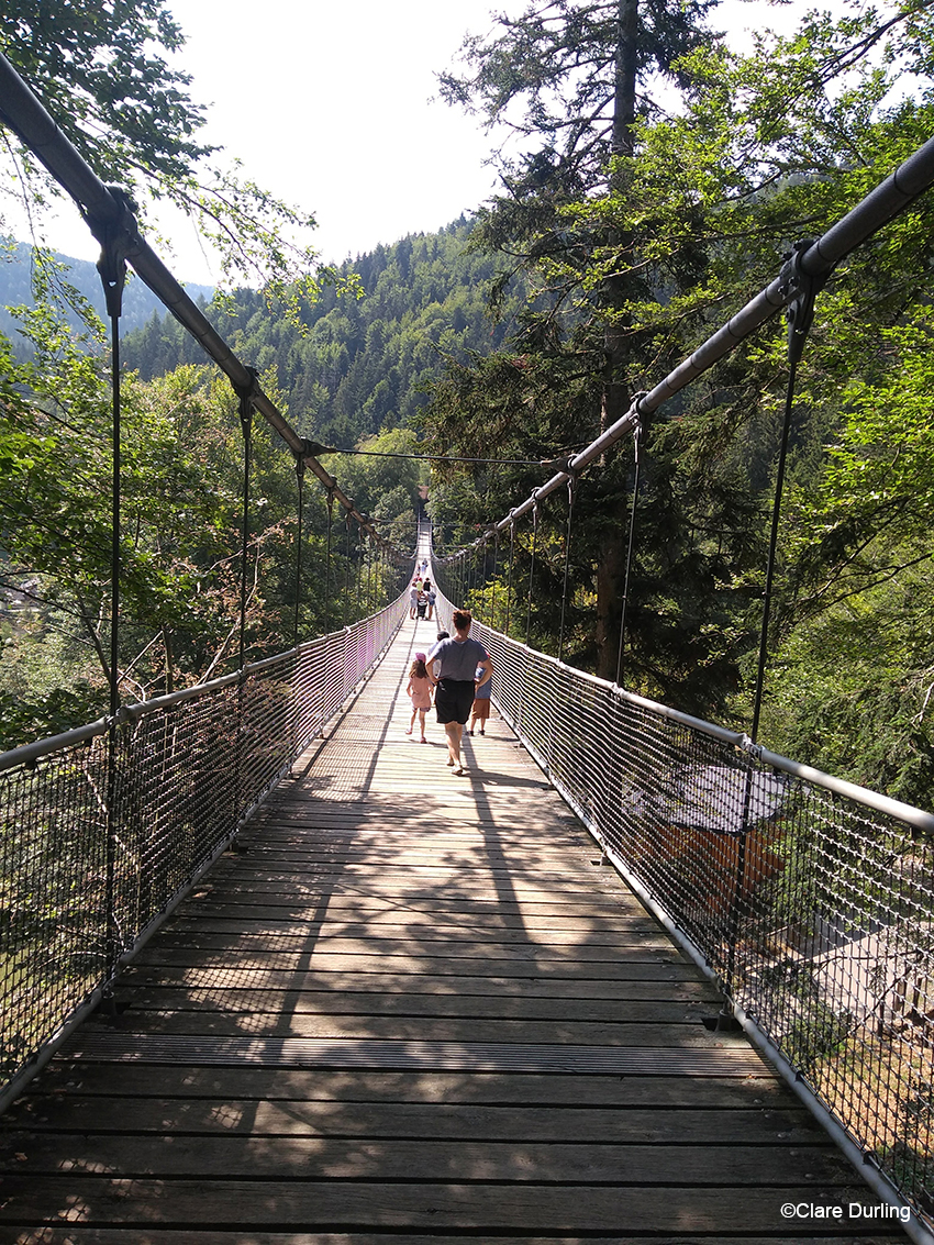 The park has the world's biggest rope bridge, Steinwassen