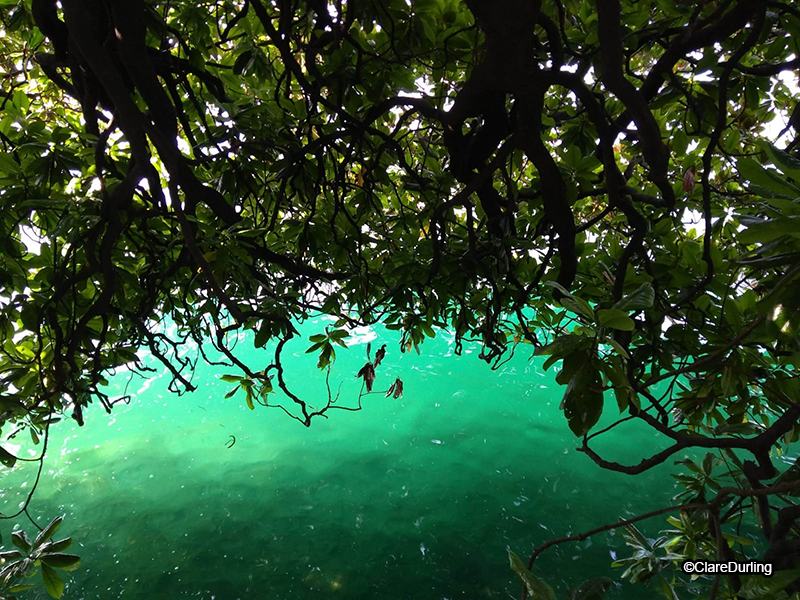 Waters of Lake Como