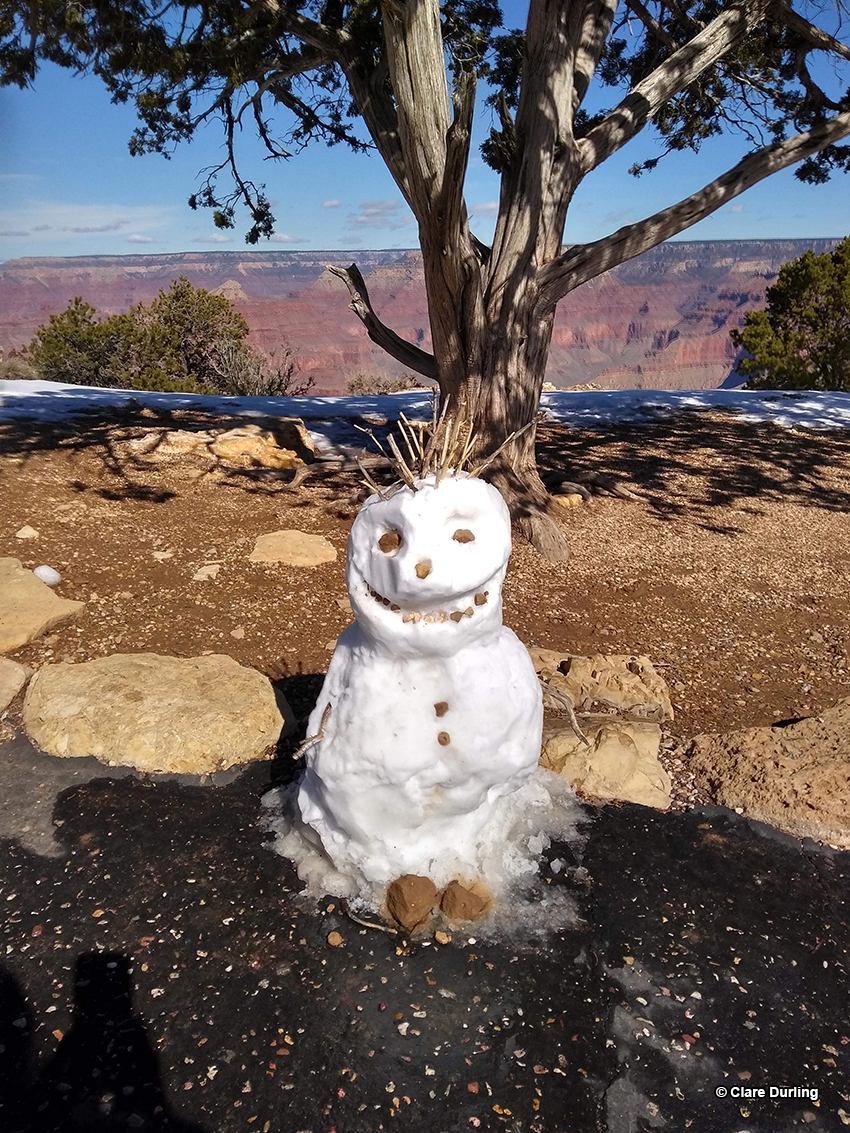 Snowman at The Grand Canyon