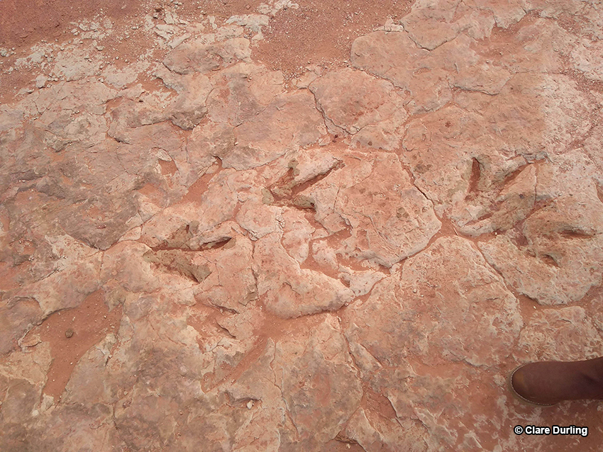 Dinosaur Footprints, Tuba City, AZ