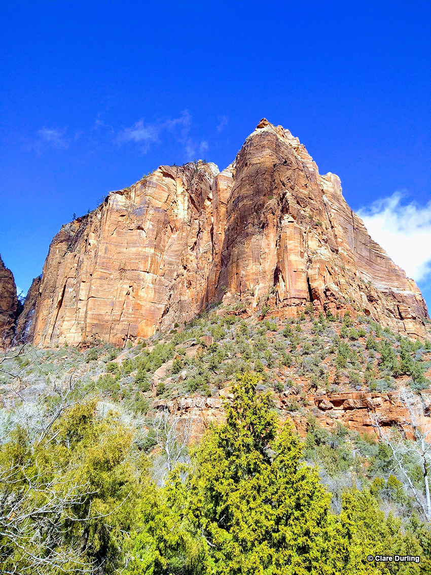 Beautiful Zion National Park UT